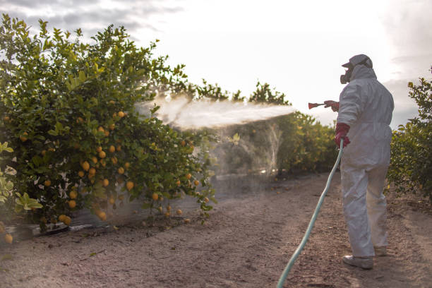 Best Commercial Pest Control Services  in Eastvale, CA